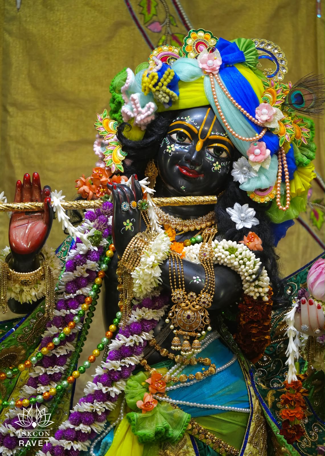 🌻 Daily Shringar Darshan🌻