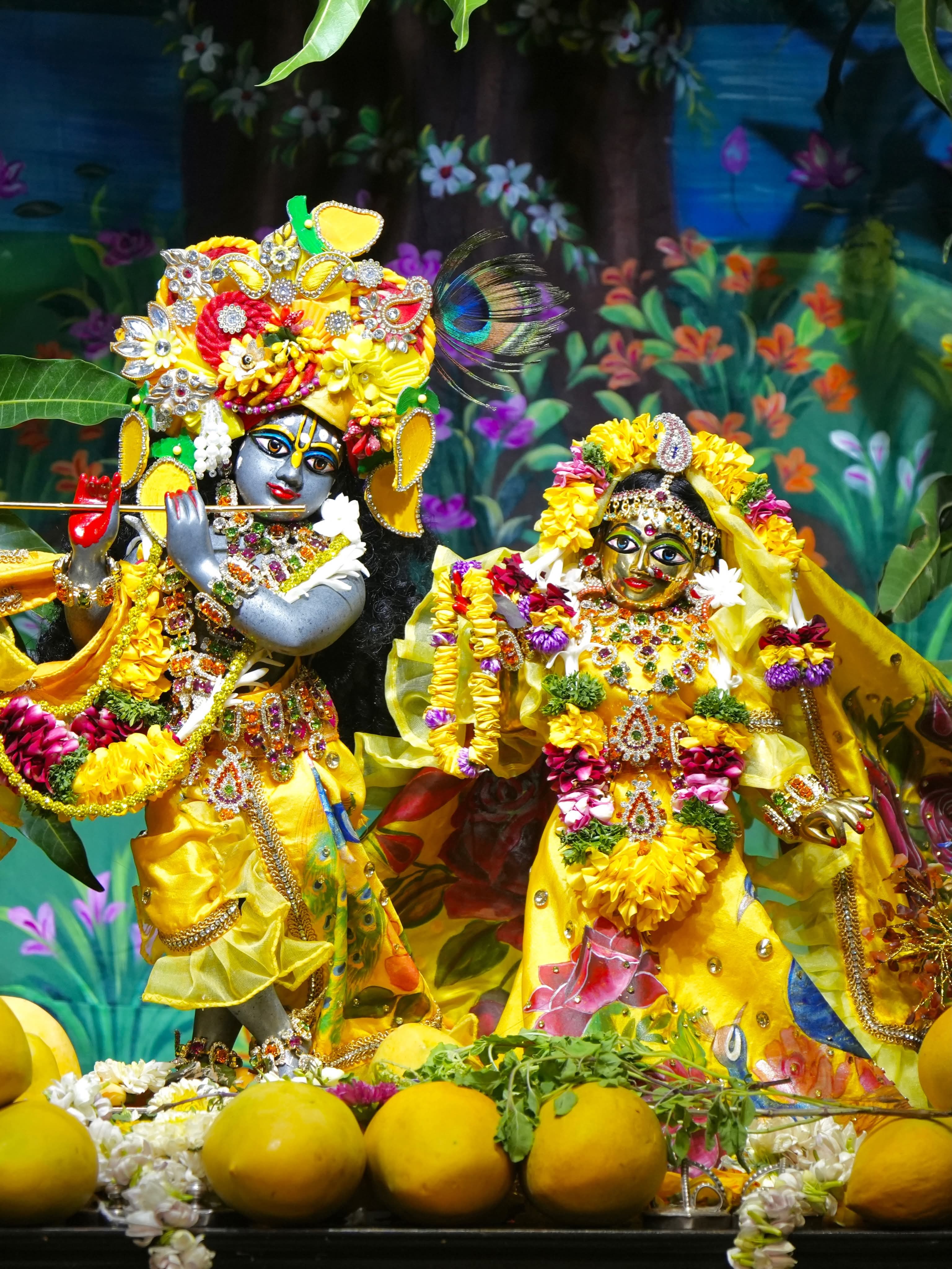 🌻Mango Festival - Special Darshan 🌻