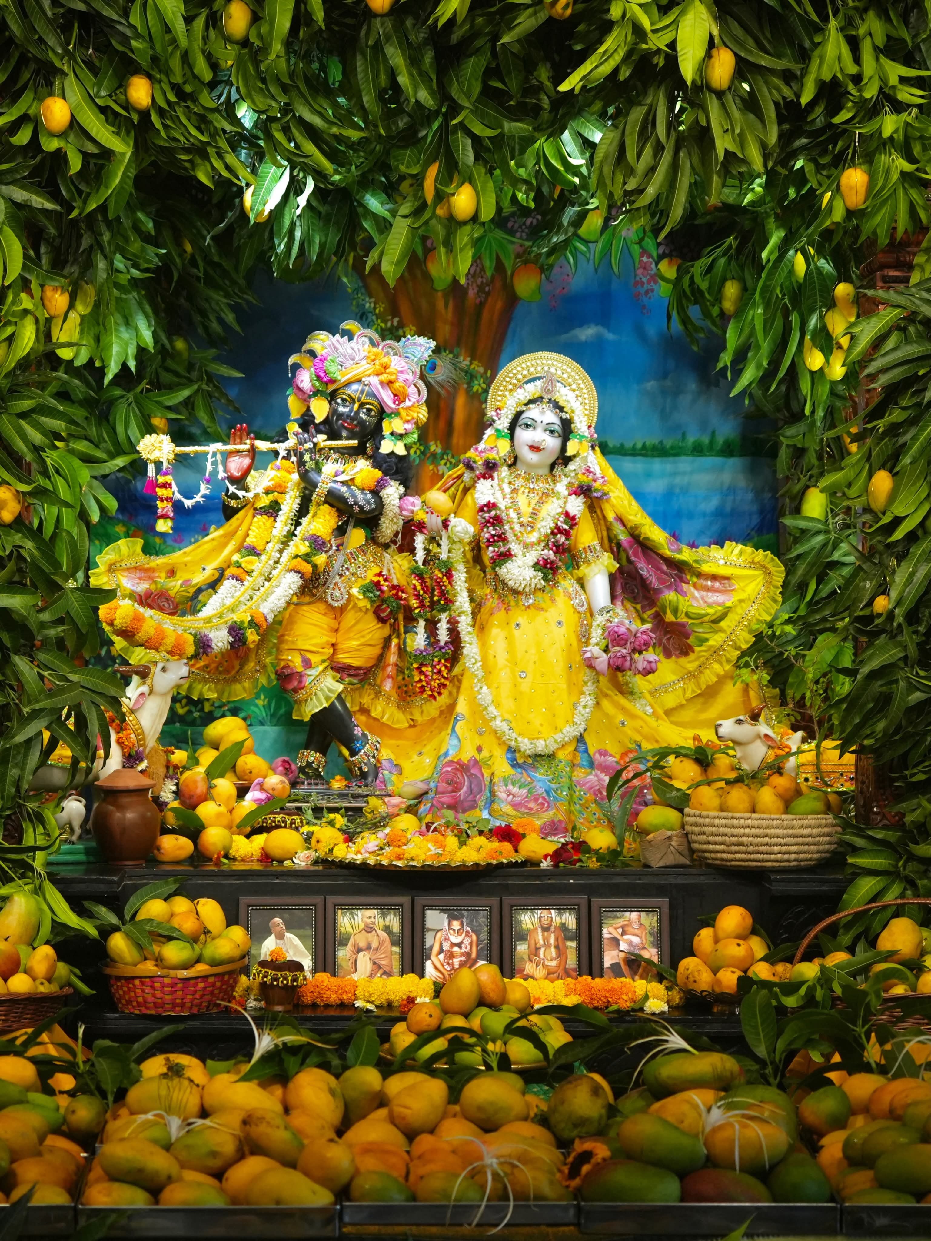 🌻Mango Festival - Special Darshan 🌻