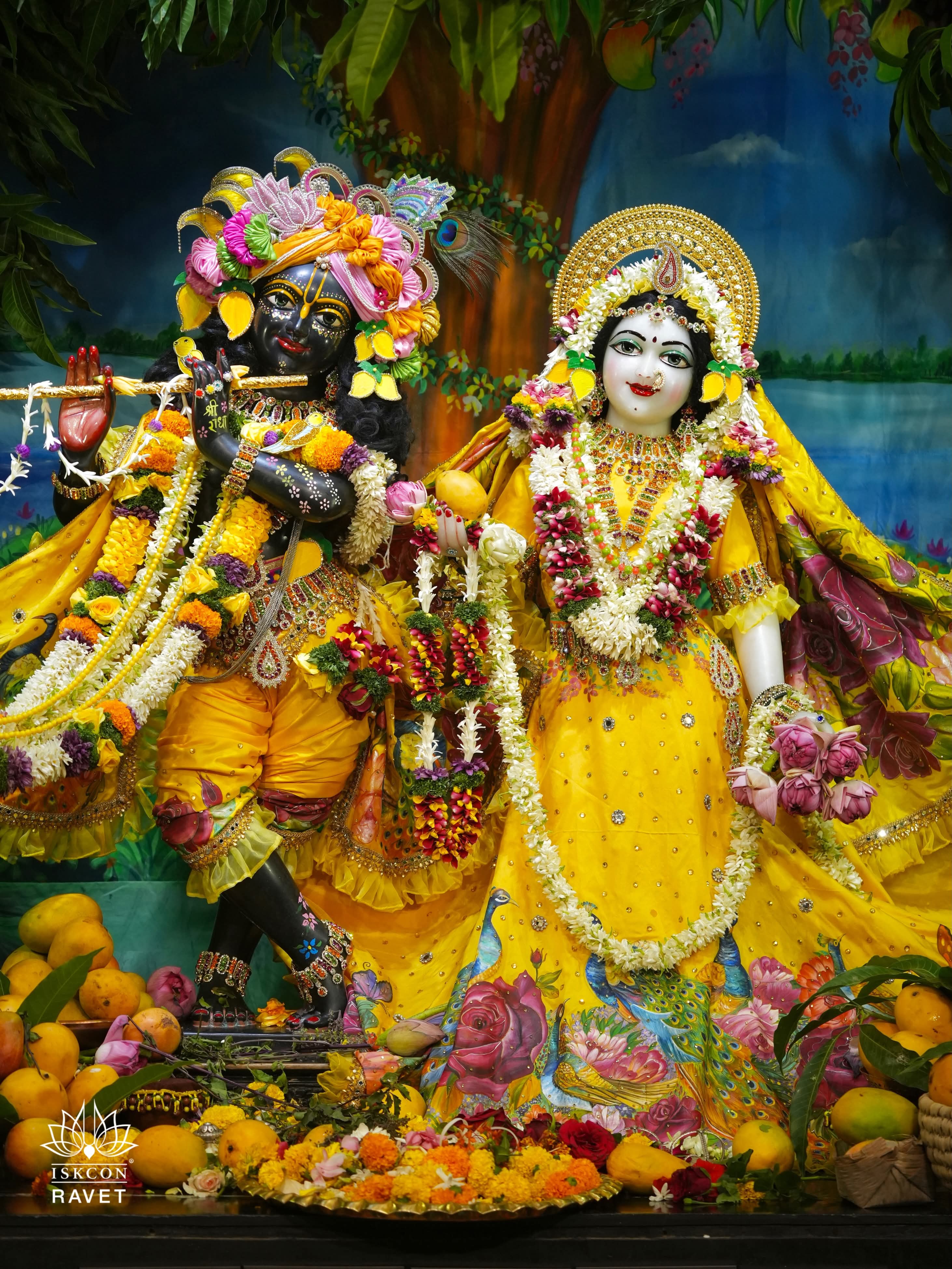 🌻Mango Festival - Special Darshan 🌻