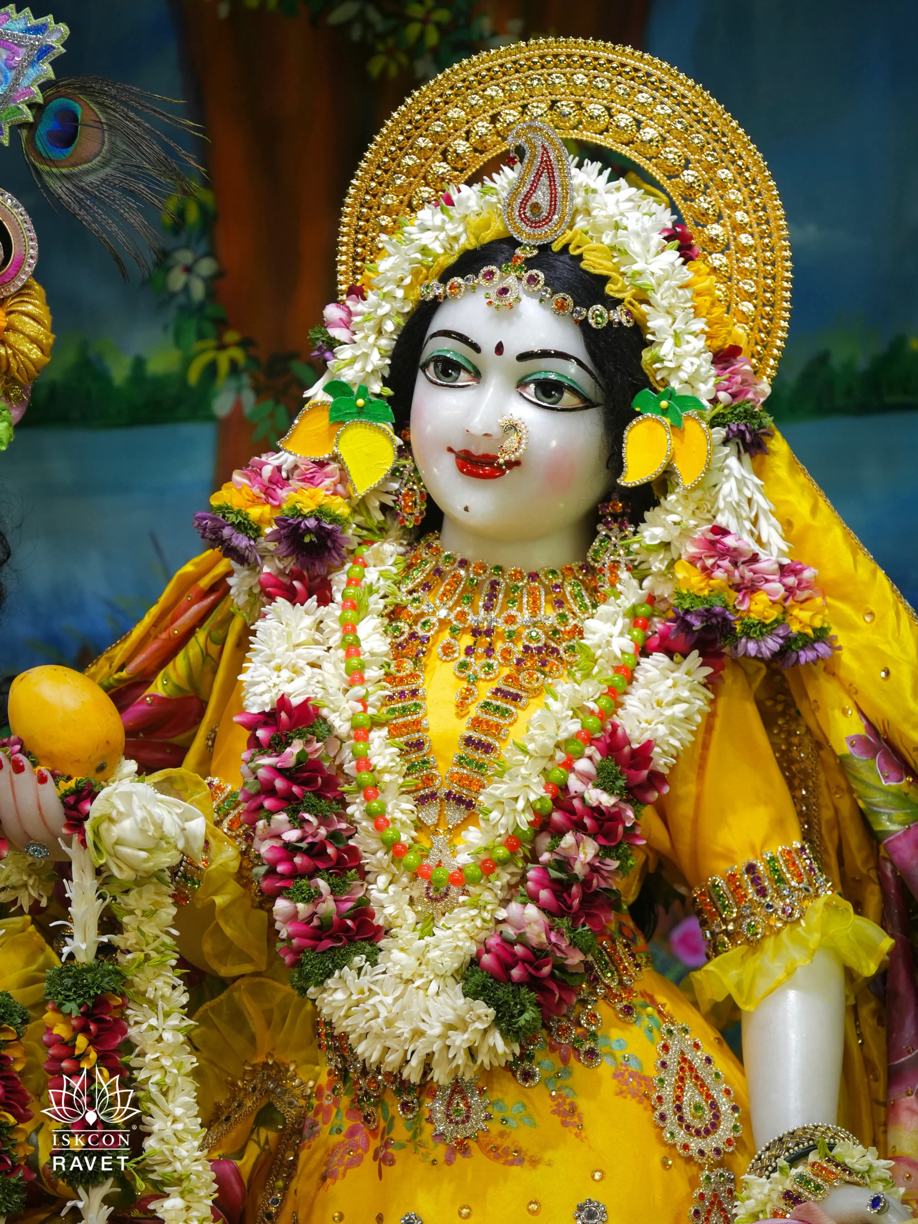 🌻Mango Festival - Special Darshan 🌻