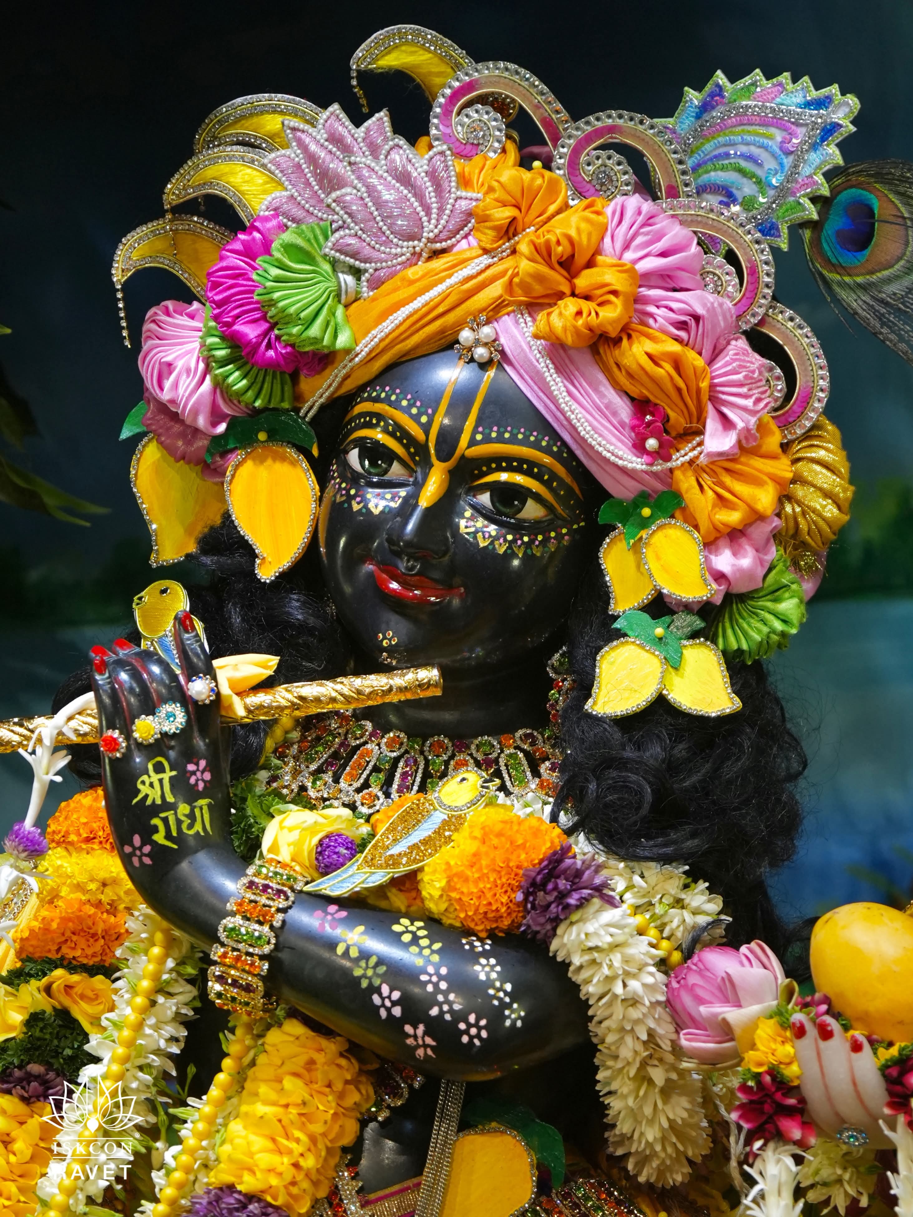 🌻Mango Festival - Special Darshan 🌻
