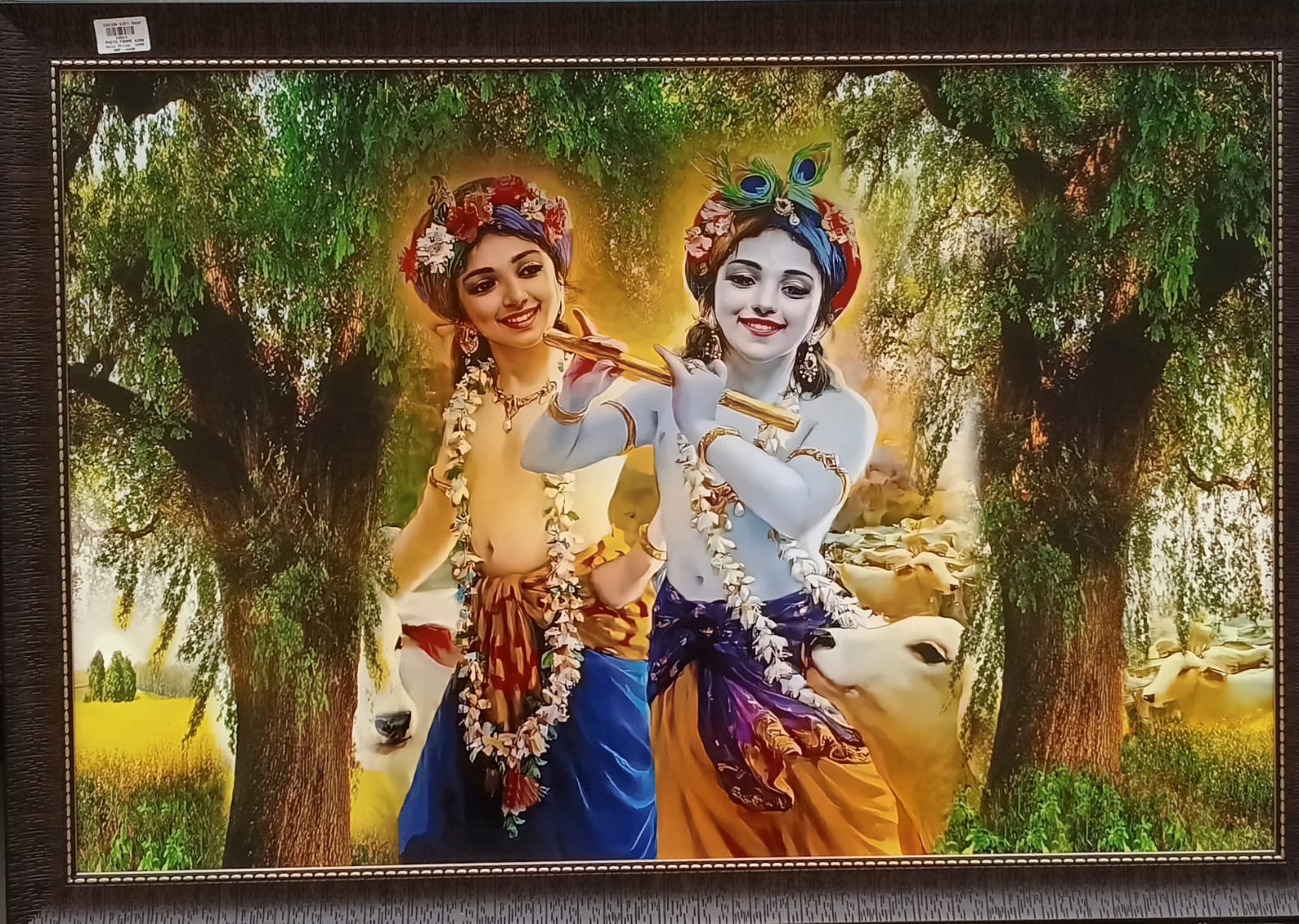 Krishna balram photo Frame 